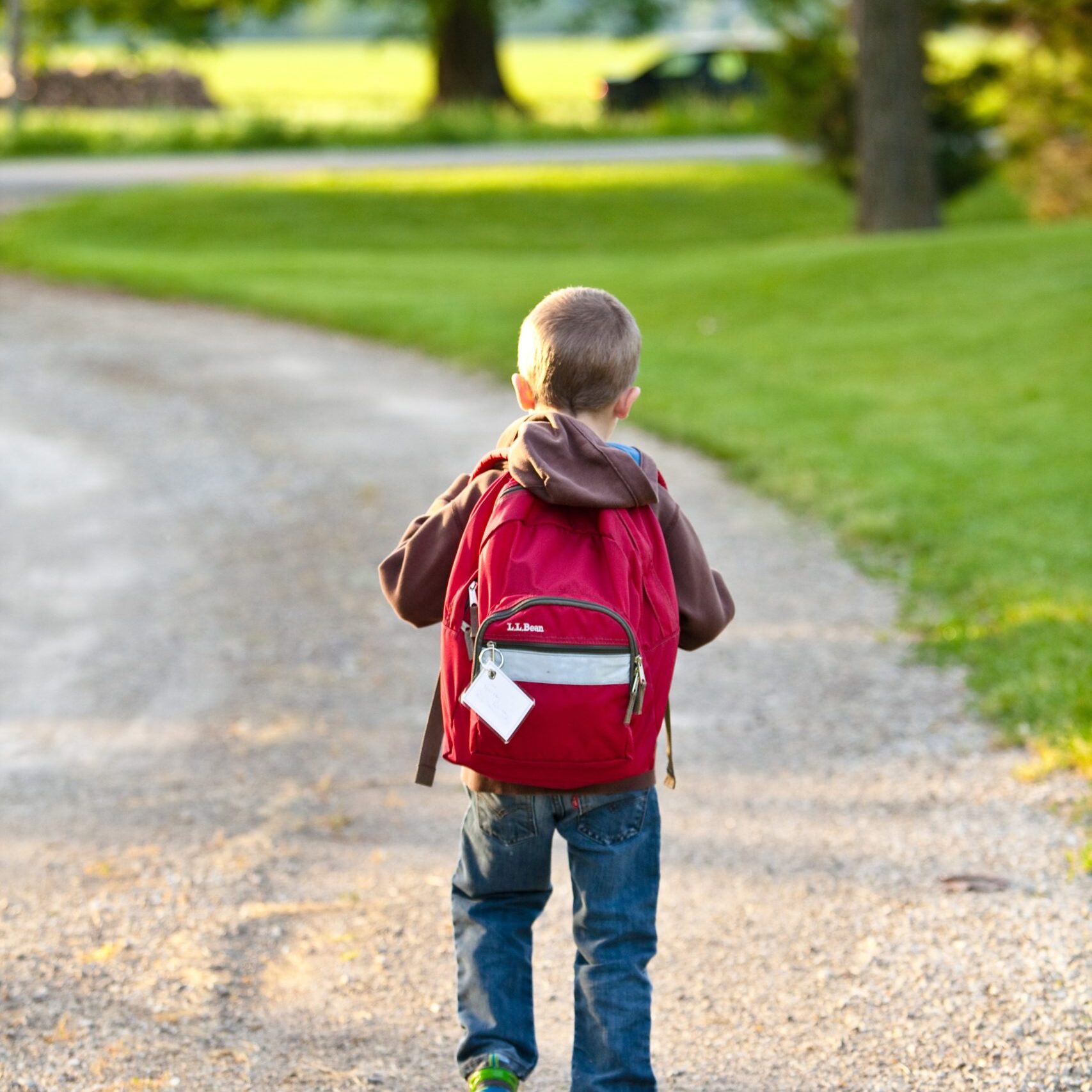 back-view-backpack-bag-207697 back-view-backpack-bag-207697